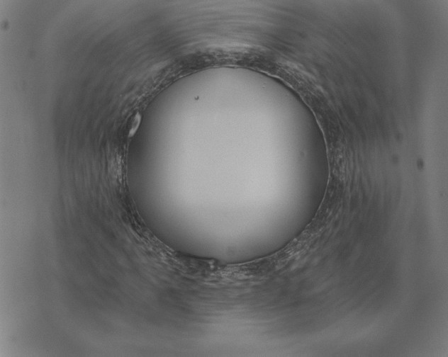 X0000071911061200607281823