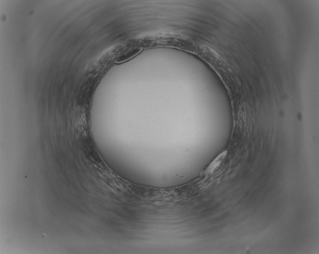 X0000071911062200607281823