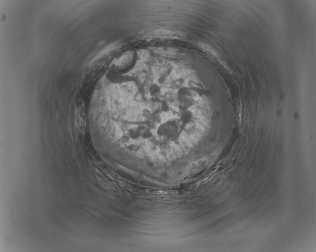 X0000071911063200607281823