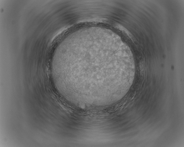 X0000071911064200607281823