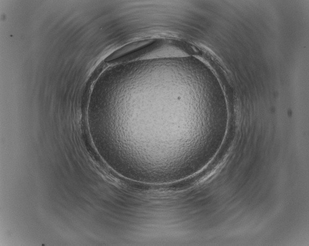 X0000071911065200607281823