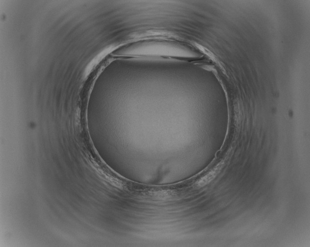 X0000071911066200607281823