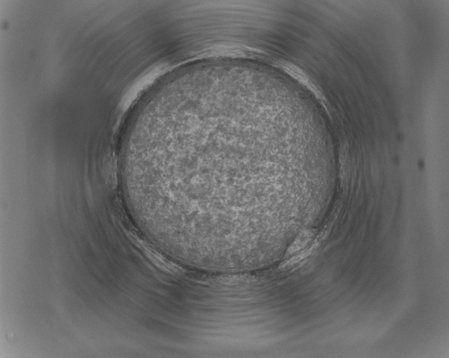 X0000071911067200607281823