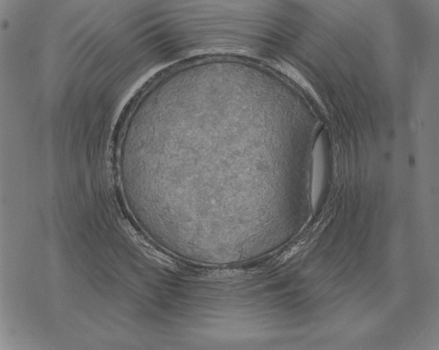 X0000071911068200607281823