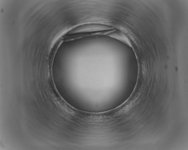 X0000071911069200607281823