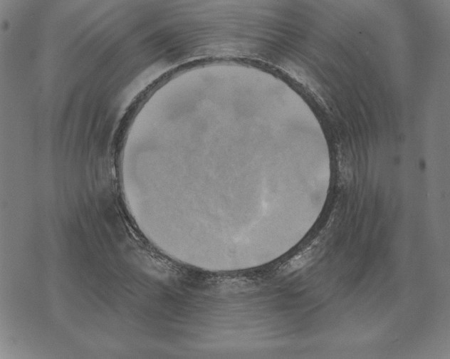 X0000071911070200607281822