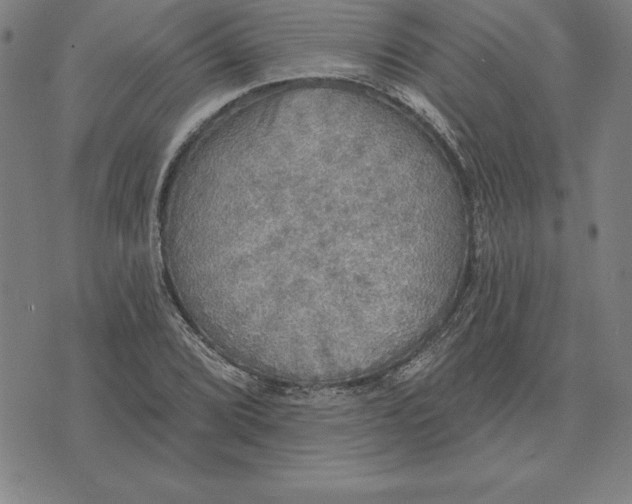 X0000071911072200607281822