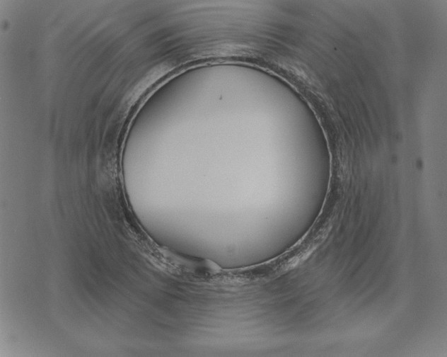 X0000071911073200607281822