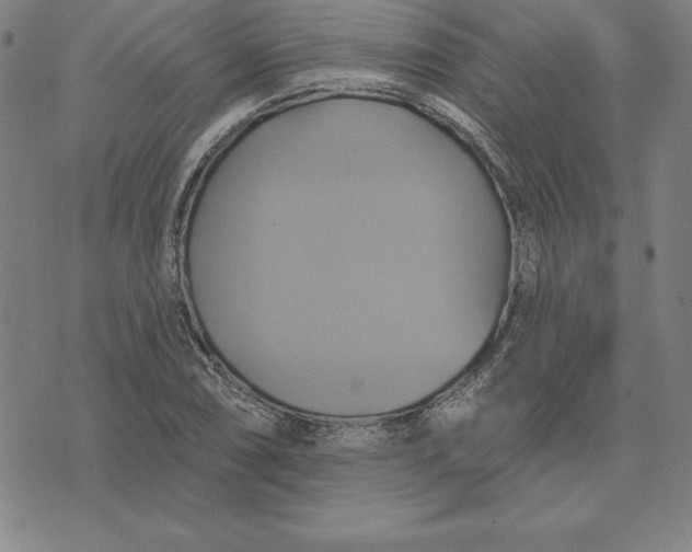 X0000071911074200607281822