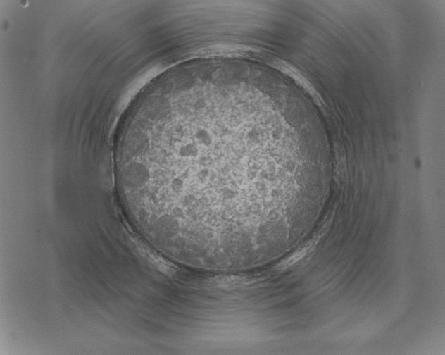 X0000071911075200607281822