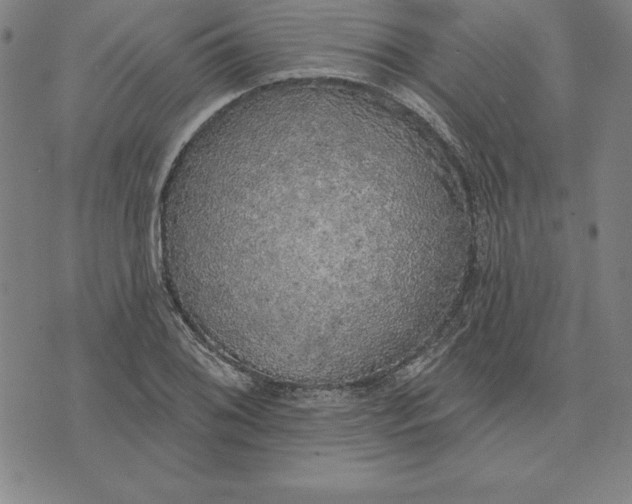 X0000071911076200607281822