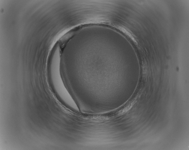 X0000071911077200607281822