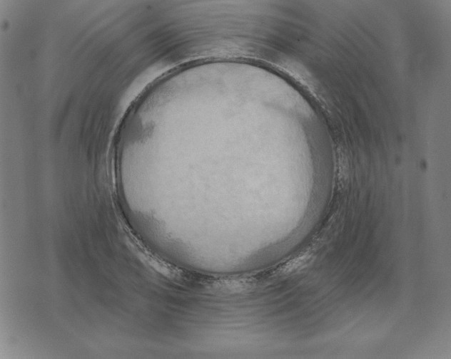 X0000071911078200607281822