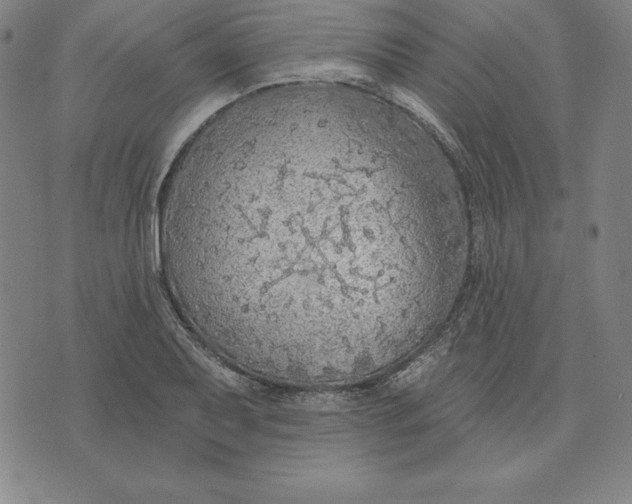 X0000071911079200607281822