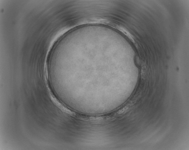 X0000071911080200607281822