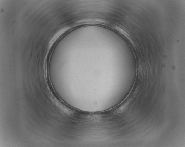 X0000071911082200607281822