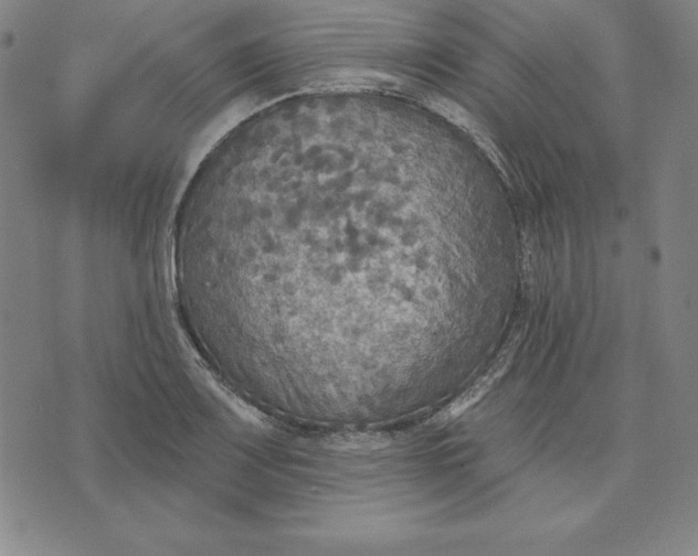 X0000071911083200607281822