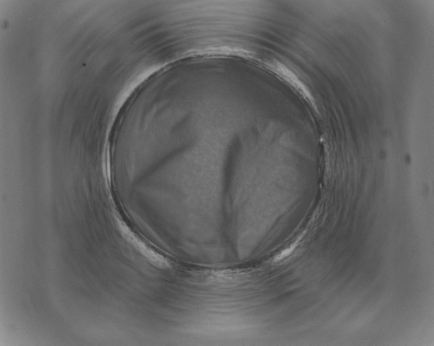 X0000071911084200607281822