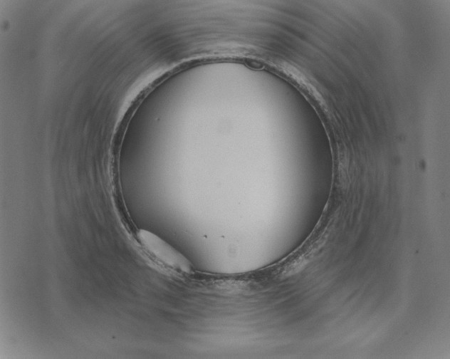 X0000071911085200607281822