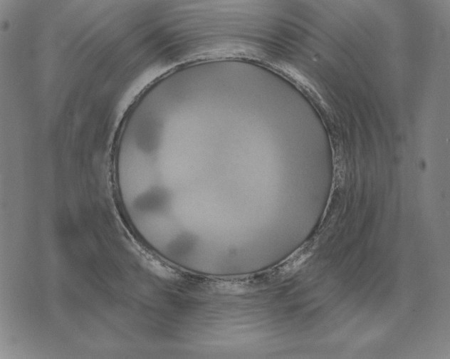 X0000071911086200607281822