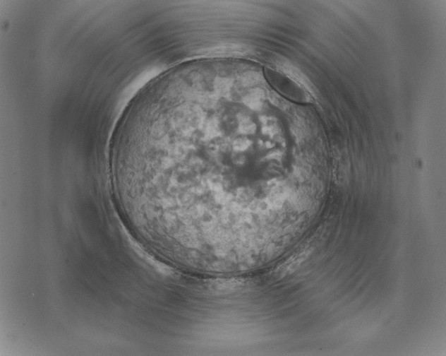 X0000071911087200607281822