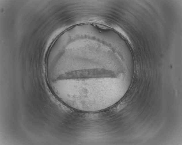 X0000071911088200607281822