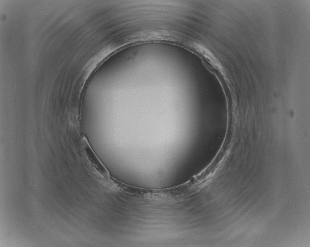 X0000071911089200607281822