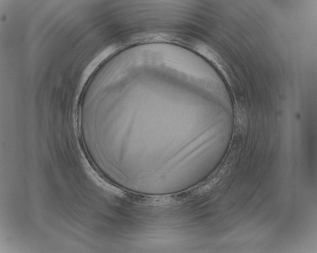 X0000071911090200607281822