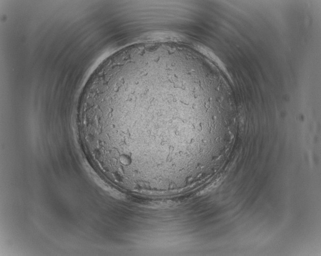 X0000071911091200607281822