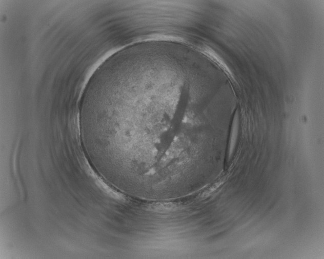 X0000071911092200607281822