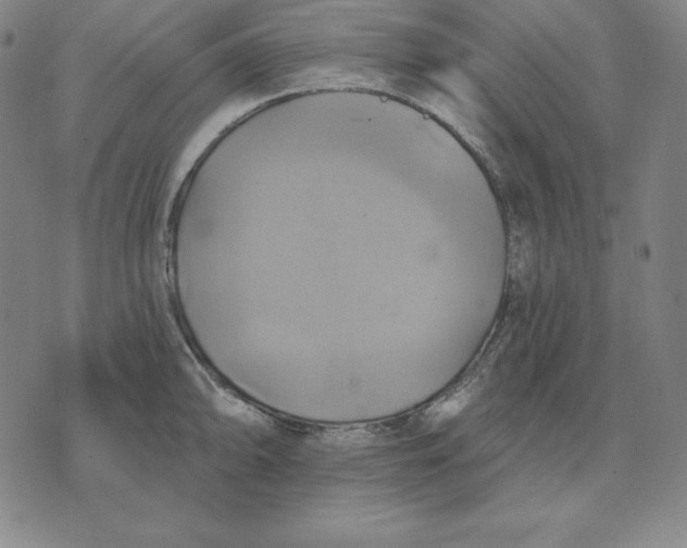 X0000071911094200607281822