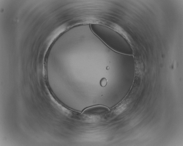 X0000071911095200607281822