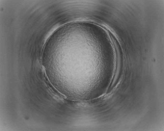 X0000071911097200607281822