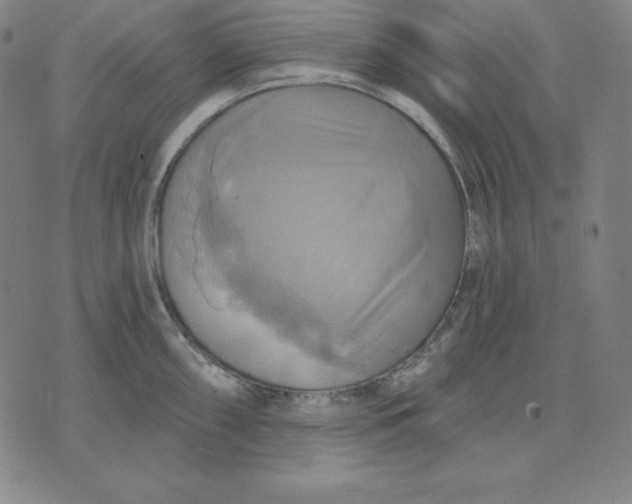 X0000071911098200607281822