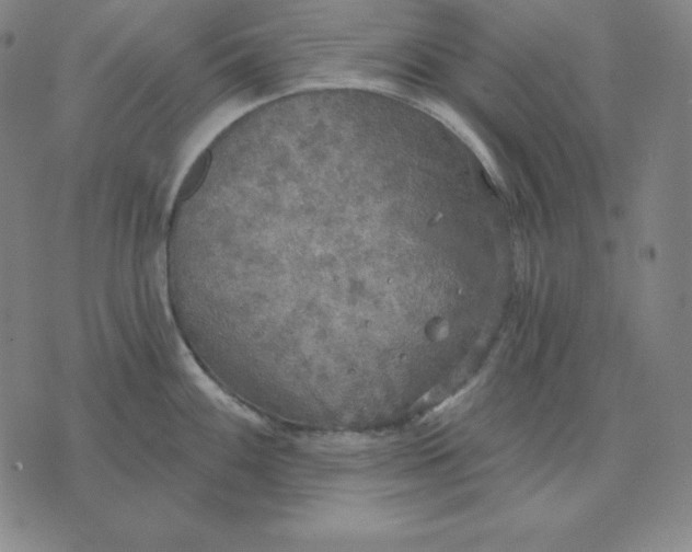 X0000071911100200607281822