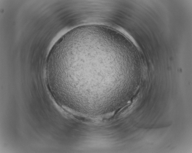 X0000071911101200607281822