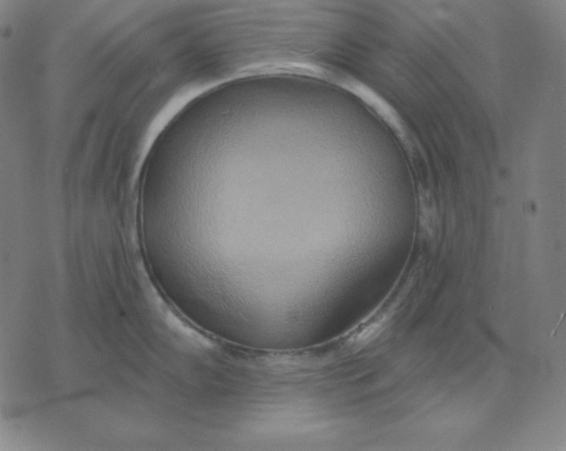 X0000071911102200607281822