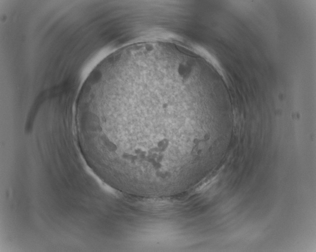 X0000071911103200607281822