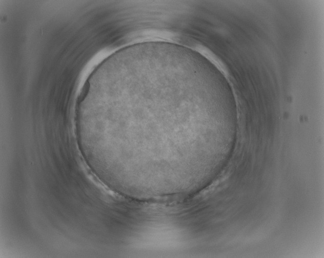 X0000071911104200607281822