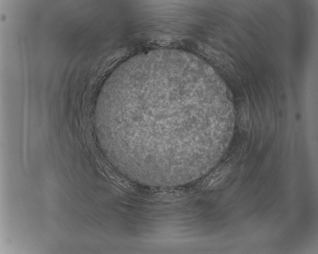 X0000071911105200607281821