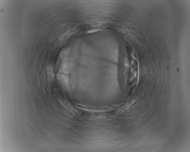 X0000071911106200607281821