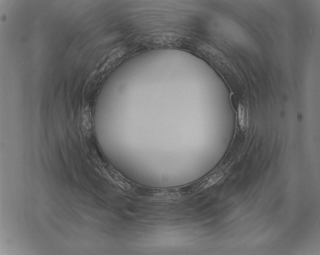 X0000071911107200607281821