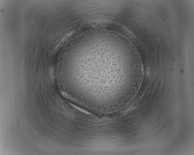 X0000071911108200607281821