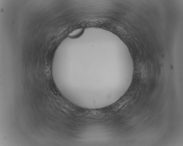 X0000071911109200607281821