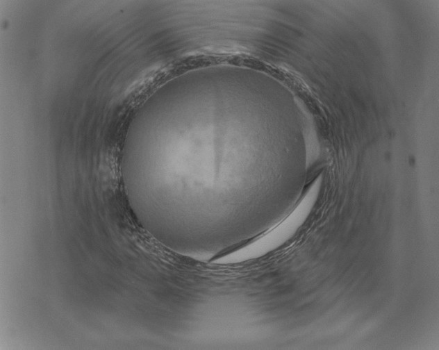 X0000071911110200607281821