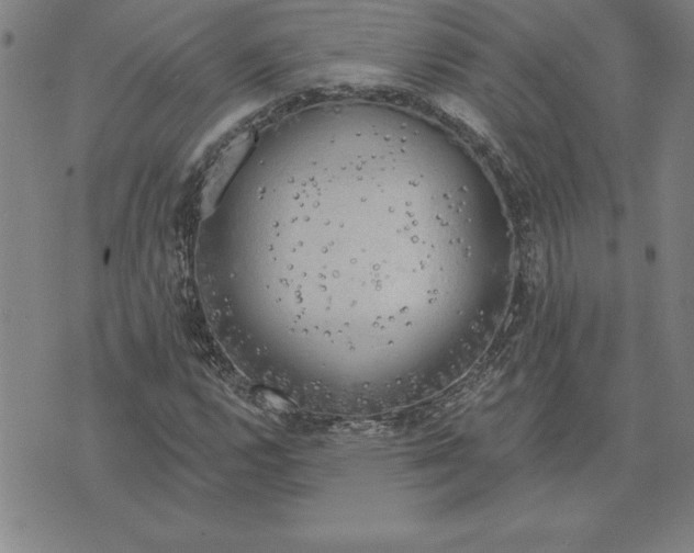 X0000071911112200607281821