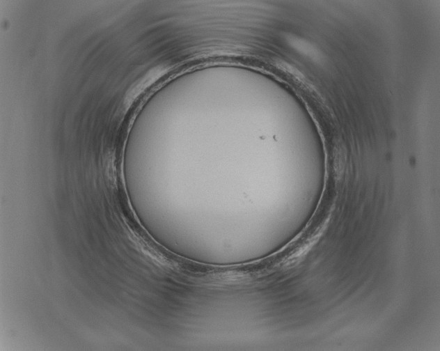 X0000071911113200607281821