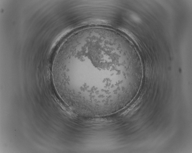 X0000071911115200607281821