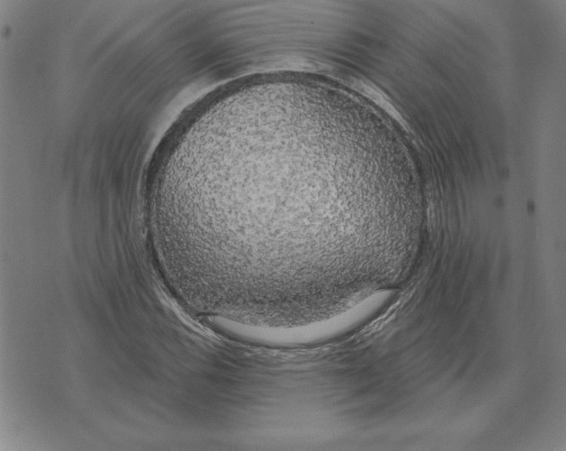 X0000071911116200607281821