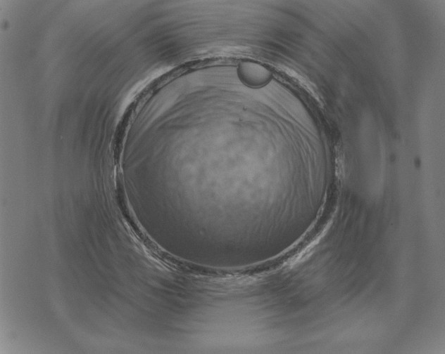 X0000071911117200607281821